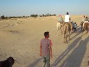 Dromerdaristocht Sahara (Tunesië)