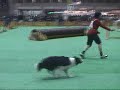 Dog Agility (Mar/31/07 JKC CUP Jumping Large Vol.2)