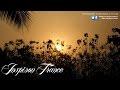 Dash Berlin & Alexander Popov ft. Jonathan Mendelsohn - Steal You Away (Official preview) HD - YouTube
