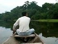 Amazon Jungle Sounds