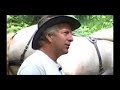 horse logging horse logging