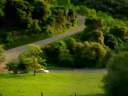 Funny_scary_car_joke.wmv Funny_scary_car_joke.wmv