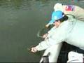 videos de Video 2 Anos Parte I.wmv