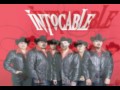 intocable-perdedor