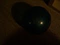 The amazing hamster that rolls in a ball
