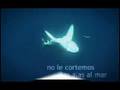 videos de Mar que no te corten la alas