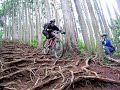 Crushers 2008 - Funny to watch.... I don't feel so bad now about my riding skills 