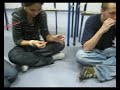 beatbox+harmonica by FeniX  + penspinnig - Fabryka Projekt�w