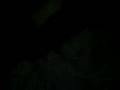 videos de Frankenmuth Snowboarding #2