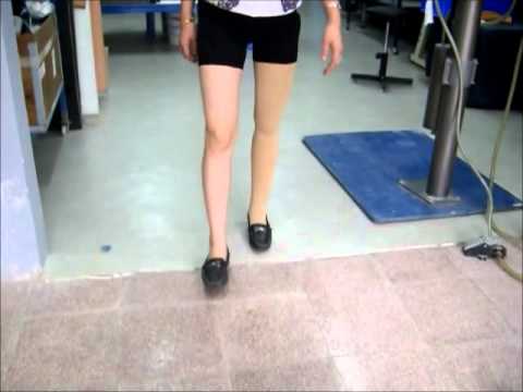 vietortho - 