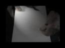 Thumbnail #3