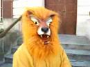 FAP 2007 singes FAP 2007 singes