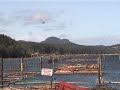 Port McNeill Breakwater Arrival