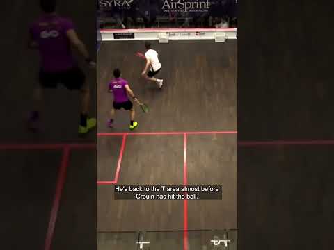 Squash Fitness Analysis 