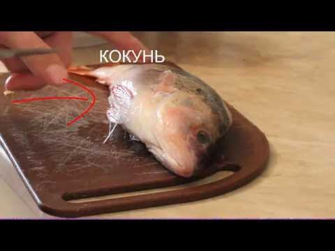 как можно приготовить окуня видео как можно приготовить окуня видео