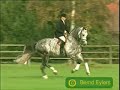 horses - lose control horses - lose control