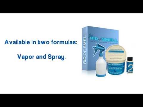 how to get rid dog urine smell