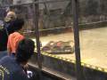 videos de Alcoholic Stepfather vs. Shovelhead - SDC 2004