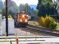 BNSF Coal Train grinding uphill Winlock, WA