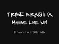 psysex live ! new wave hooker   tribe  brasília