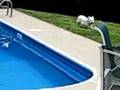 Bogie the Westie vs Pool