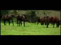 Panama Travel and Tourism
