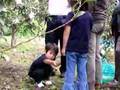 梨園動画3