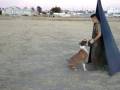 videos de MALO HASTA LOS HUESOS.wmv