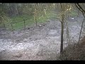 Video on button buck.