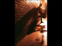 We Were Friends - Blossomhead - Dream Beautiful Music