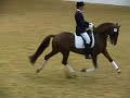 Ponystallion Don\ Ponystallion Don\