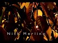 Nick Merlino