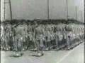 videos de FEU SA MAJESTÉ LE ROI MOHAMMED V23.wmv