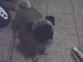 Hick virando o pesco�o