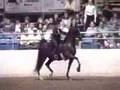 ASB 3 GAITED PARK