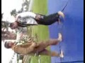 paul walker and franjinha training in bjj
www.paragonbjj.com
www.alliancebjjfrance.com