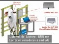 Identificacion RFID del Ganado Bovino por IDRF de Colombia