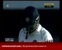 Amla ton extends