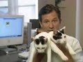 Dogbook/Catbook on ABC News Dogbook/Catbook on ABC News