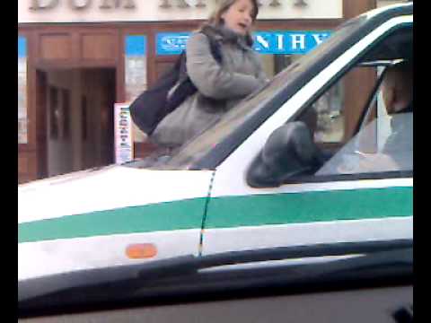 Revizorí MHD Plzen