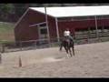 Gismo barrel horse for sale