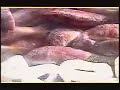 Gastronomía en Andalucía Gastronomía en Andalucía