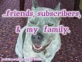PitBull Sharky says \"I LOVE YOU!\" My Smart Doggy!