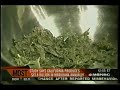 Marijuana Is Number One Cash Crop In U.S.