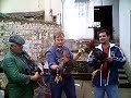 Galo de Rinha - ELVIS - JUCA - ORTUNHO
