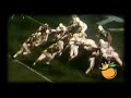 1965 Orange Bowl National Championship