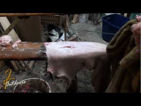 how to skin a raccoon