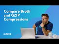 Brotli compression vs Gzip compression - Kinsta