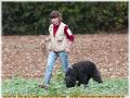 BOUVIERS DES FLANDRES - CONCOURS DE RCI 2009 - http://www.bouviersdesflandres-chiots.com