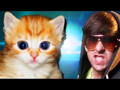 CUTE FURRY KITTENS (Official Music Video)